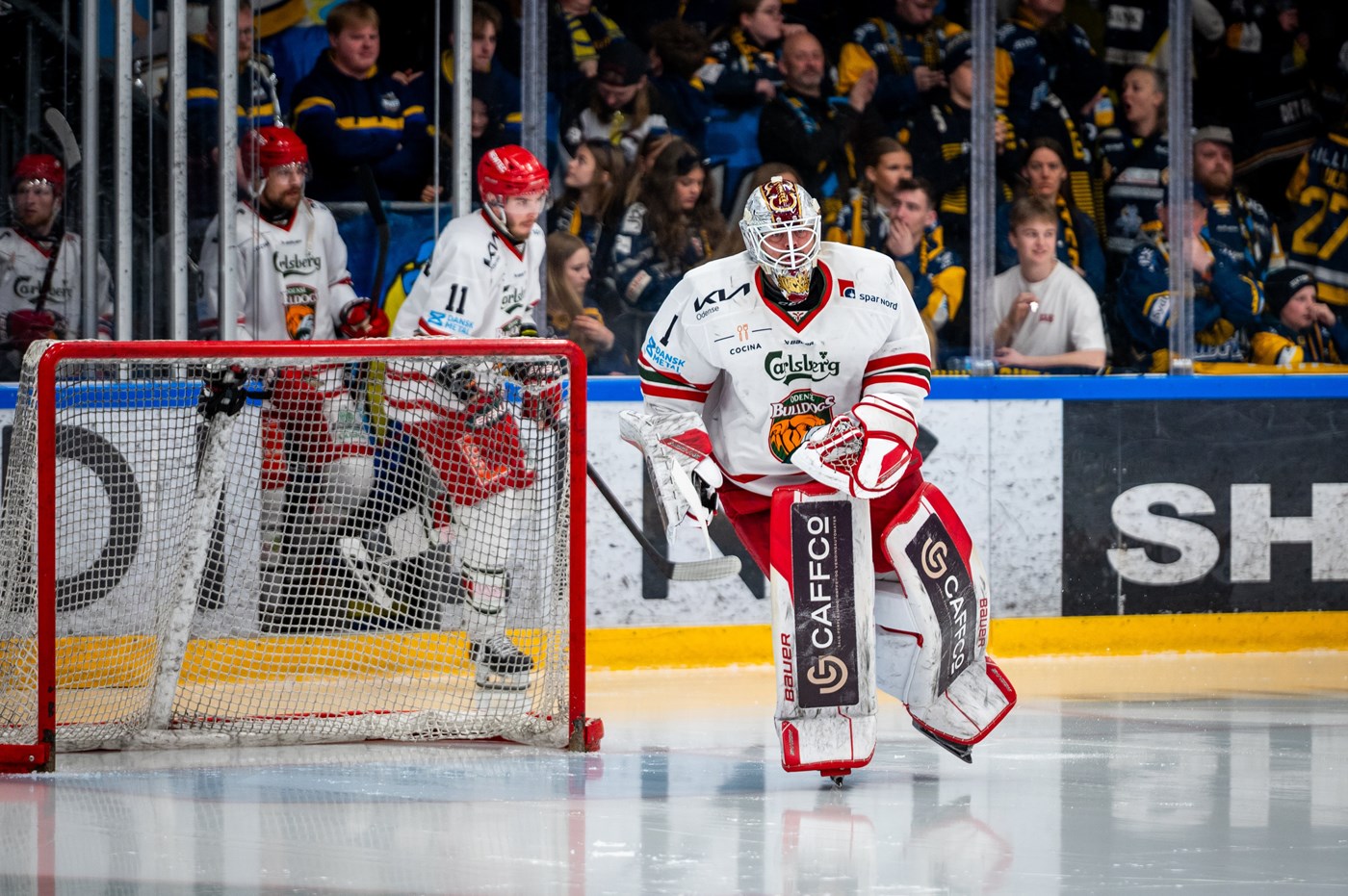 Odense Bulldogs og Niklas Lundström forsætter samarbejdet