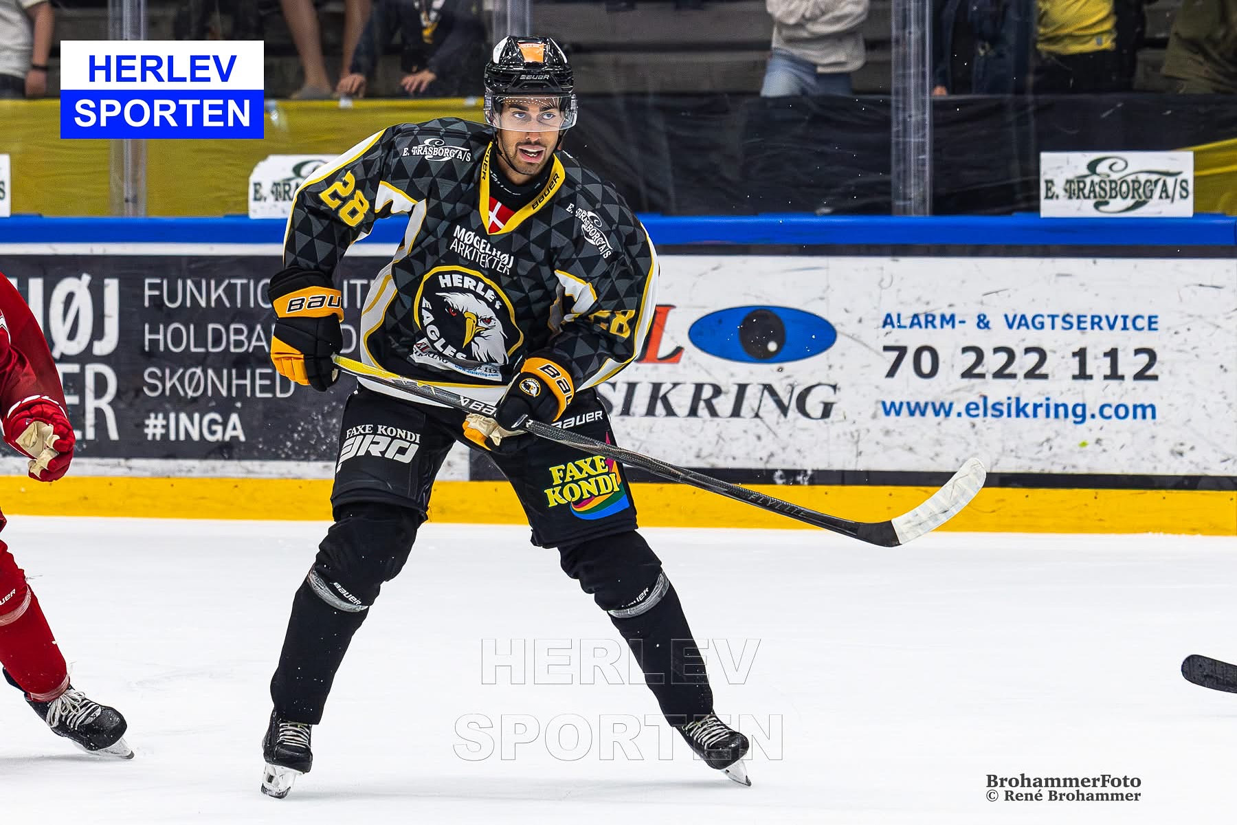 Foto: René Brohammer, BrohammerFOTO