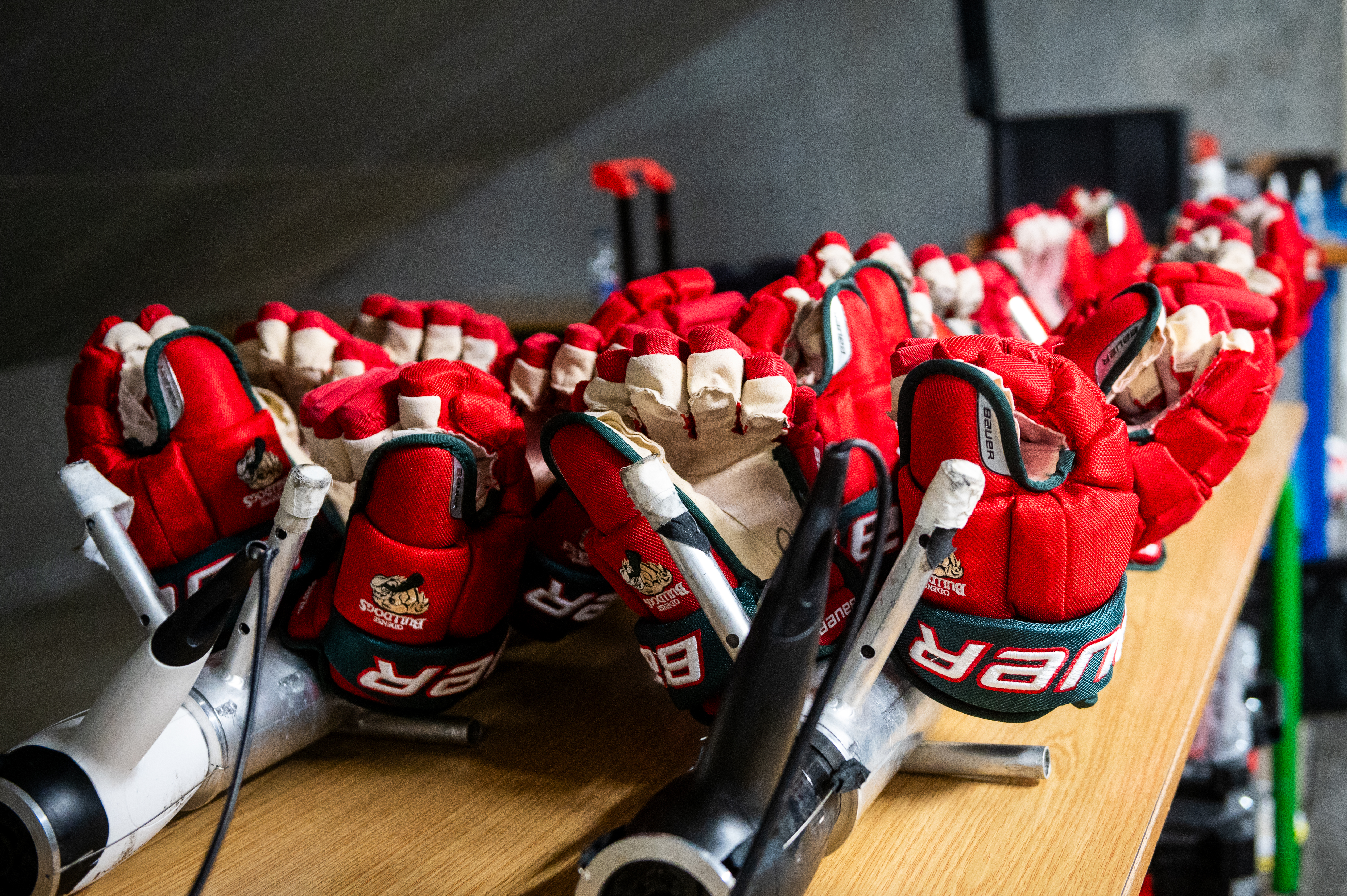 Kim Nieminen styrker Odense Bulldogs